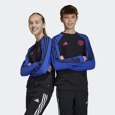 adidas Pogba Crewneck Sweatshirt Lucid Blue M Kids
