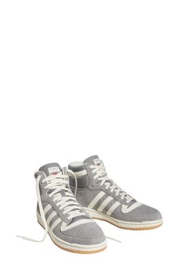 adidas Top Ten Basketball Sneaker in Grey/Cream White/Gum