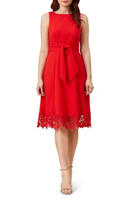 Adrianna Papell Lace Hem Crepe Fit & Flare Dress in Cherry Bliss