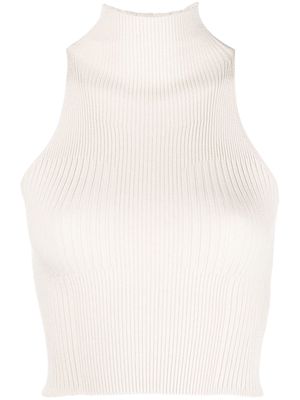 Aeron ribbed-knit roll neck top - Neutrals