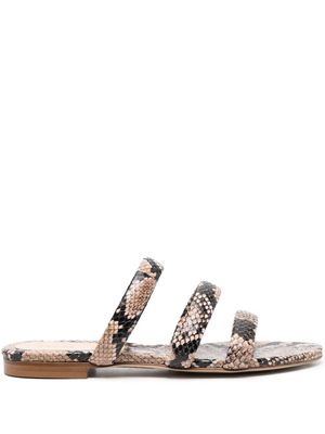 Aeyde Chrissy snakeskin-print sandals - Neutrals