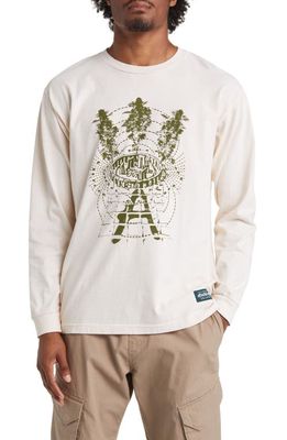 Afield Out Stone Long Sleeve Graphic T-Shirt in Bone