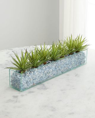 Agave in Rectangular Glass Container Faux Floral Arrangement