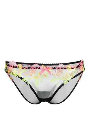 Agent Provocateur Callypso floral-embroidered tulle briefs - Black