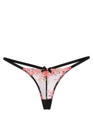 Agent Provocateur Lexx floral-embroidered sheer thong - Black