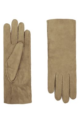 Agnelle Double Face Genuine Shearling Gloves in Atacama