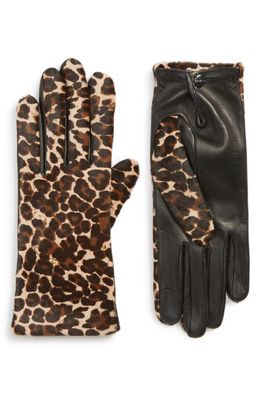 Agnelle Leopard Print Genuine Calf Hair & Lambskin Leather Gloves in Black Tactile/Panthere