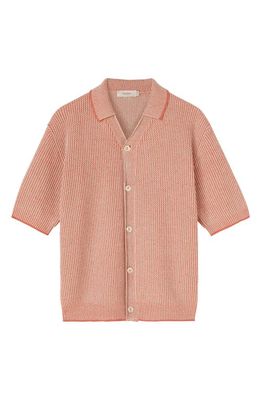 Agnona Cotton & Cashmere Button-Up Polo Sweater in Coral