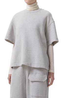 AGOLDE Ash Short Sleeve Sweatshirt in Heather Grey