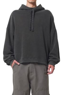 AGOLDE Dayne Washed Hoodie in Fracture