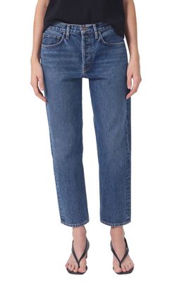 AGOLDE Parker High Waist Crop Straight Leg Jeans in Placebo