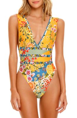 Agua Bendita Julieta Plunge One-Piece Swimsuit in Multicolor