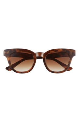 AIRE 50mm Dorado D-Frame Sunglasses in Tort /Brown Grad