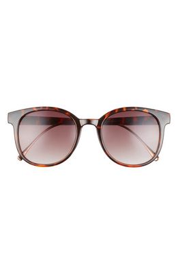 AIRE Crux Round 52mm Sunglasses in Dark Tort