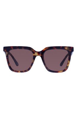 AIRE Meteorite 54mm Gradient D-Frame Sunglasses in Syrup Tort 