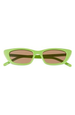 AIRE Titania 51mm Cat Eye Sunglasses in Green /Tan Tint
