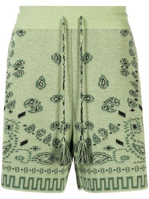 Alanui bandana-jacquard cotton-piqué shorts - Green