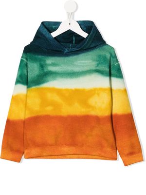 Alanui Kids Paradise Island hoodie - Multicolour