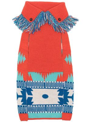 Alanui x Poldo intarsia-knit dog jumper - Blue