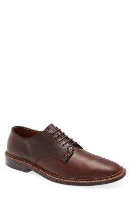 Alden Blucher Plain Toe Derby in Brown Aniline