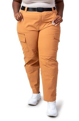 ALDER Take A Hike Water Resistant Cargo Pants in Camel