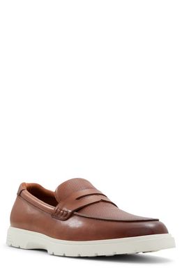 ALDO Bacary Loafer in Cognac 