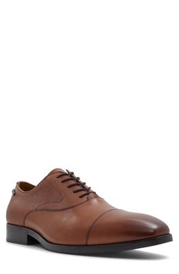 ALDO Edmond Oxford in Cognac