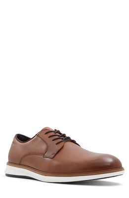 ALDO Red Derby in Cognac