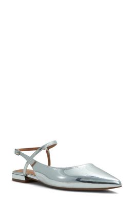 ALDO Sarine Ankle Strap Pointed Toe Flat in Silver
