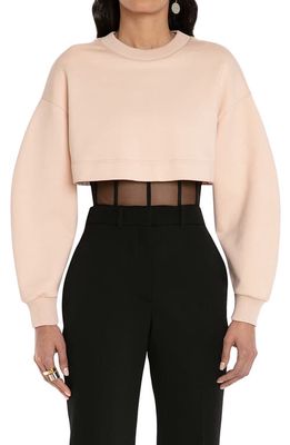 Alexander McQueen Crop Bustier Underlay Cotton Sweatshirt in Tea Rose