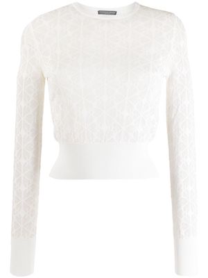 Alexander McQueen Pre-Owned 2010s patterned-jacquard long-sleeve top - White