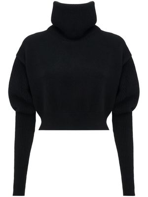 Alexander McQueen zip-up turtleneck jumper - Black