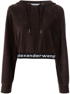 Alexander Wang logo-tape drawstring hoodie - Brown