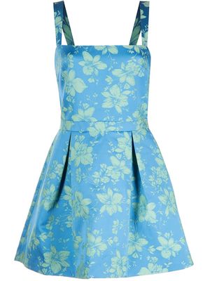 Alexis Max floral-print mini dress - Blue