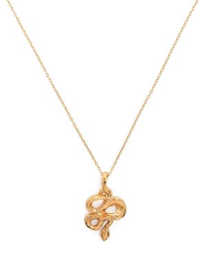 Alighieri The Medusa pendant necklace - Gold