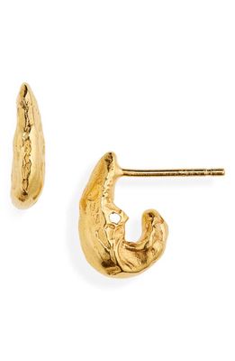 Alighieri The Mini Gilded Crustacean Post Earrings in Gold