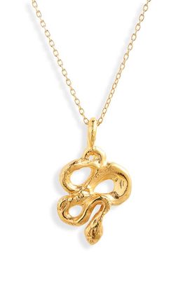 Alighieri The Rising Power Medusa Pendant Necklace in Gold
