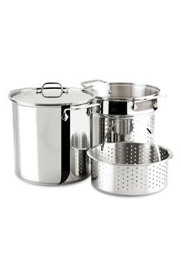 All-Clad Stainless Steel 12-Quart Multi Pot with Lid