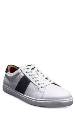 Allen Edmonds Courtside Sneaker in White/Navy