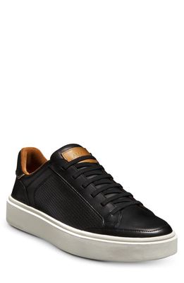 Allen Edmonds Oliver Perforated Sneaker in Black