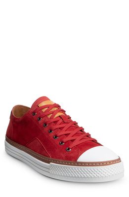 Allen Edmonds Pasadena Sneaker in Crimson