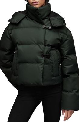 AllSaints Allais Hooded Puffer Coat in Forest Green