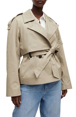 AllSaints Beckette Cotton Crop Trench Coat in Stone Grey