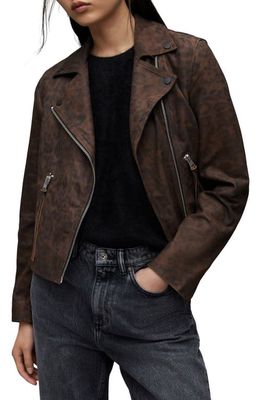 AllSaints Dalby Leopard Print Leather Moto Jacket in Brown