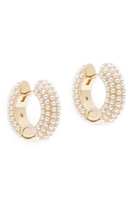AllSaints Imitation Pearl Huggie Hoop Earrings in Pearl/Gold