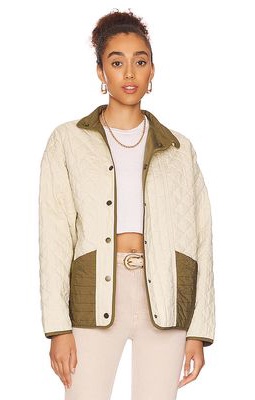 ALLSAINTS Madison Reverse Jacket in Cream