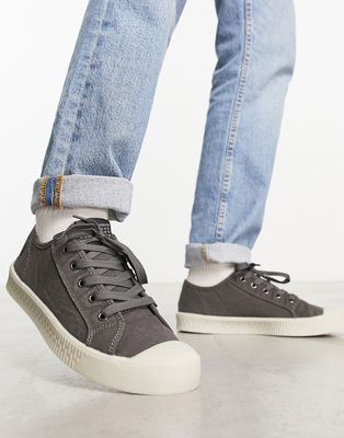 AllSaints Mem low top sneakers in gray