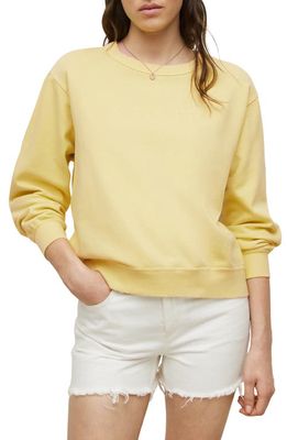 AllSaints Pippa Embroidered Cotton Sweatshirt in Sunny