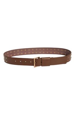 AllSaints Pyramid Stud Leather Belt in Harness Brown /Warm Brass