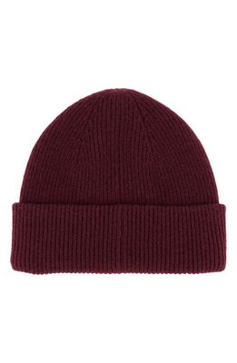 AllSaints Ramskull Embroidered Beanie in Charred Red